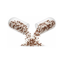 NEURO STICK PLUS 60 CÁPS. CS 2